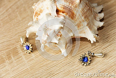 Earrings and seashells