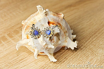 Earrings and seashells