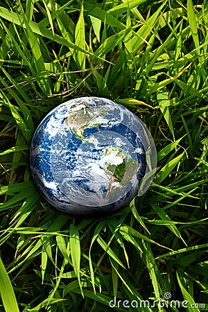 Earth lost in grass