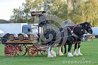East Anglia Equestrian Fair pair of heavy horses and cart