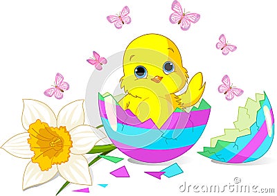 Easter Chick Surprise Stock Photo - Image: 19