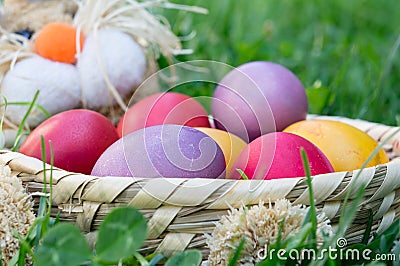 Easter colored eggs in a basket in the grass