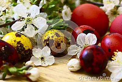 Easter eggs, flowers and fruit trees