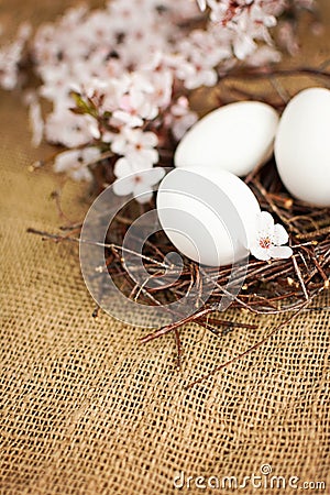 Easter eggs in nest with spring flowers decoration