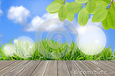 Ecology concept,fresh green field and blue sky