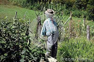 An effective scarecrow from pioneer days