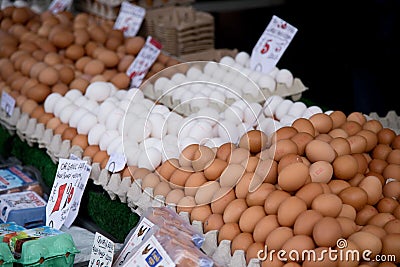 Egg market