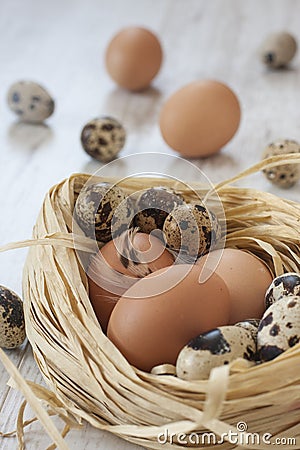 Eggs in nest on the table