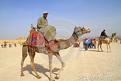 Egyptian guide offering to tourists camel ride