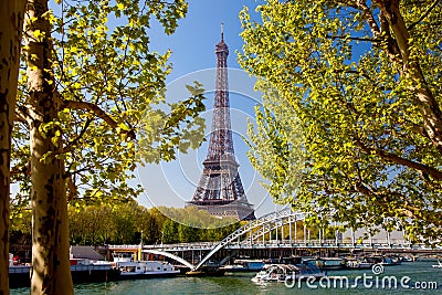 Eiffel Tower with spring tree in Paris, France