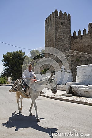 Elder walking in donkey close to the Tower of the