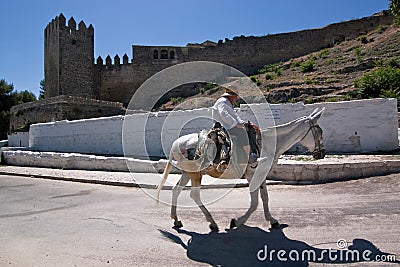 Elder walking in donkey close to the Tower of the Barbacana