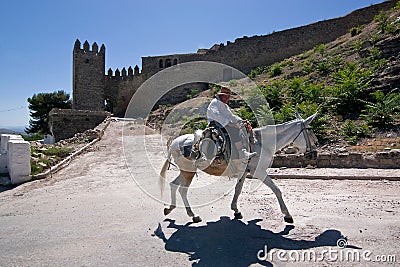 Elder walking in donkey close to the Tower of the Barbacana