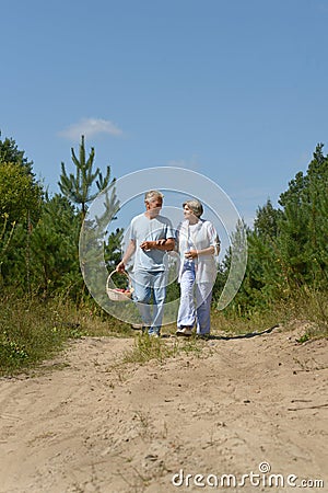 Elderly couple walking in the forest