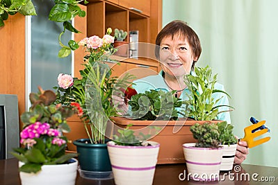 Elderly woman doing work in her small garden