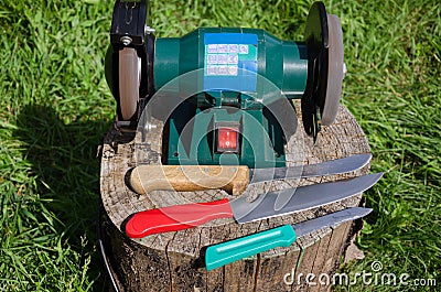 Electric sharpening device knives on stump outdoor