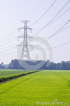 Electric Transmission Tower on filed