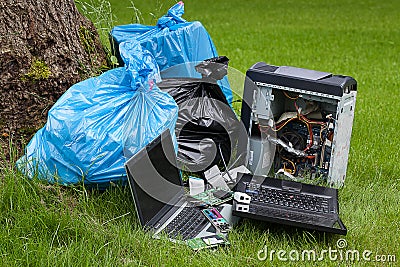 Electronics in a forest