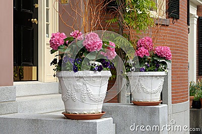 Elegant flower pots framing house entrance