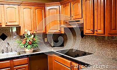 Elegant Kitchen