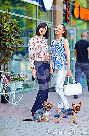 Elegant ladies walking the dogs on city street