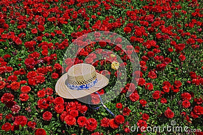 Elegant straw hat