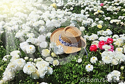 Elegant straw hat on a sunny day