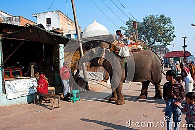 Elephant asks food on the old city street