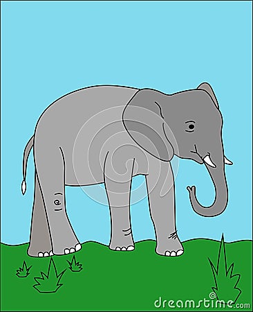 Elephant drawing