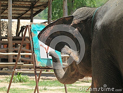 Elephant draws a tree a trunk