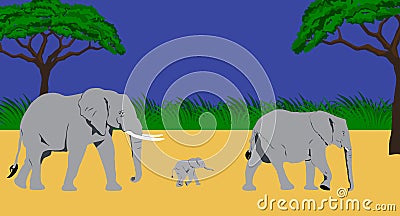 Elephant family