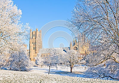 Ely cathedral in sunny winter day