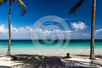Empty beach on the island of Cayo Coco with palm trees.