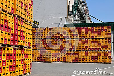 Empty Crates of Beer, Starobrno