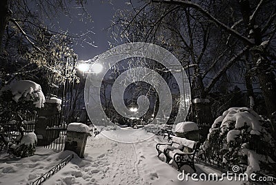 Empty park under snow during winter cold night