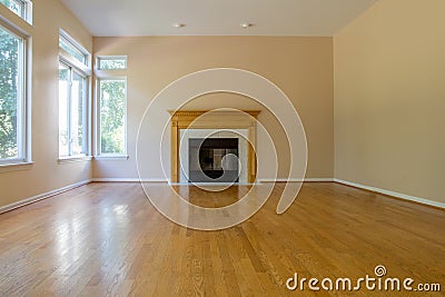 Empty Room with Fireplace