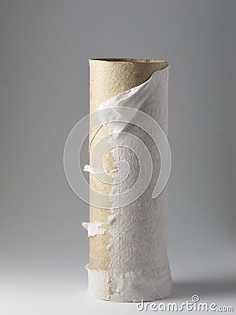 Empty toilet roll