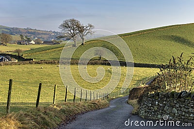 English Country Road Royalty Free Stock Photo - Image: 4036895
