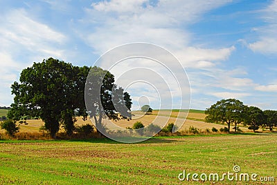 English countryside landscape with trees, fields, blue sky, clouds.