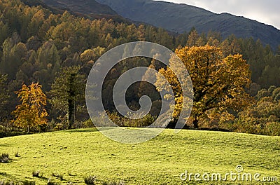 The English Lake District in Autumn (Fall)