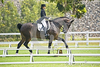 Equestrian Dressage