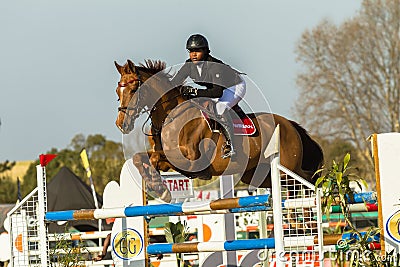 Equestrian Horse Girl Jumping