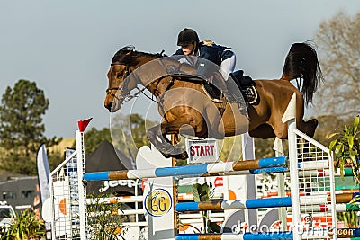 Equestrian Horse Girl Jumping