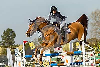 Equestrian Horse Girl Jumping