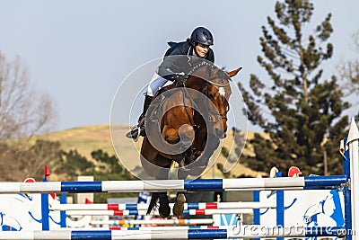 Equestrian Horse Girl Jumping