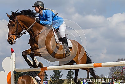 Equestrian Horse Girl Jumping