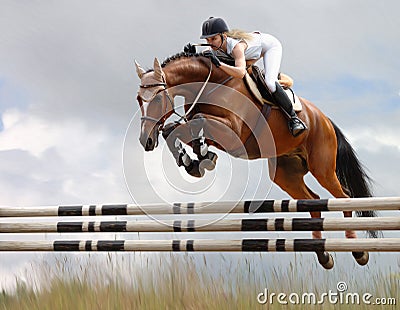 Equestrian - horse jumping