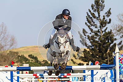 Equestrian Horse Rider Jumping