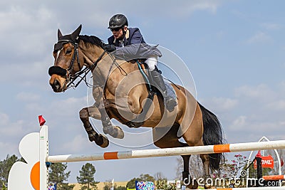 Equestrian Horse Rider Jumping