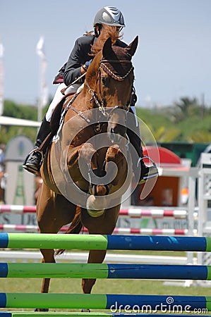 Equestrian Show Jumping